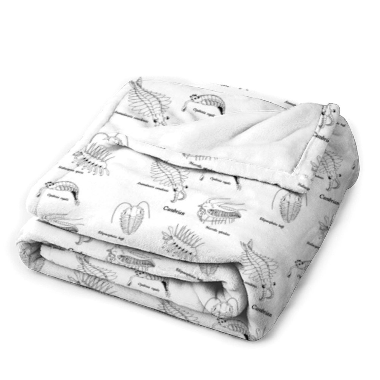 Coperta in Flanella Stile Libr - Luxury Lifestyle Hotel recensione e prezzo